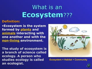 77194469-Population-Community-and-Ecosystem.ppt