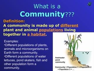 Community Definition Ecosystem 77194469-Population-Community-and-Ecosystem.ppt