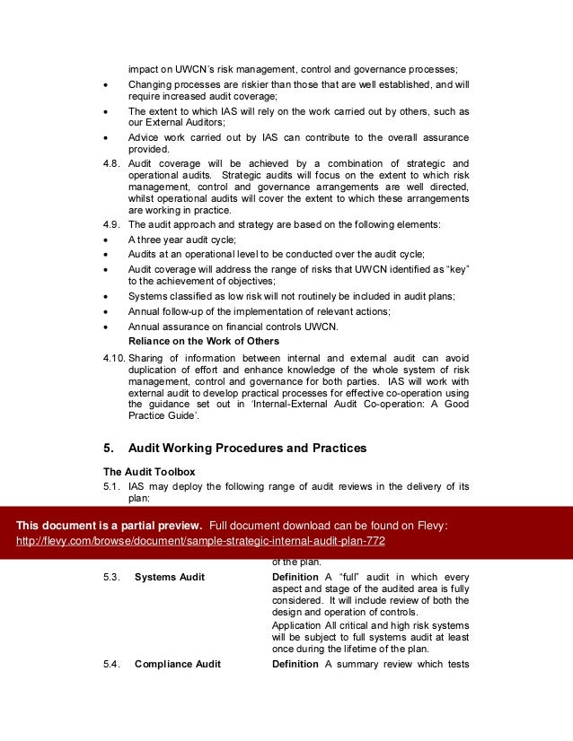 business internal audit examples