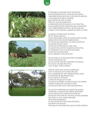13
En Nicaragua, la principal fuente de alimento,
para el ganado bovino la constituyen las pasturas
cosechadas directamente por los animales en pastoreo
y otras especies forrajeras utilizadas
bajo sistemas de corte y acarreo.
Estos son recursos de bajo costo
y relativamente fácil de producir en la misma finca.
Los principales factores requeridos para su producción
son la disponibilidad de terreno, de mano de obra,
y algunos conocimientos y experiencias sobre su cultivo.
Los pastos y forrajes tienen la ventaja
de ser cultivos perennes,
lo que implica bajos costos de mantenimiento anuales,
después del primer año de establecimiento.
De manera que representan una opción económica
para producir leche y carne
con buenos rendimientos y a bajo costo,
lo que permite aumentar las ganancias de la finca
en comparación con el uso de concentrados
y otros recursos alimenticios
que se adquieren fuera de la finca.
Por otro lado, el uso de pasturas bien manejadas
ofrece la ventaja de usar,
de una manera racional y sostenible en el tiempo,
los recursos naturales de la finca,
como el agua, suelos y árboles.
Además, ofrece otros servicios ambientales,
como la reducción de la erosión del suelo
por su capacidad de cubrir rápidamente los suelos
y el desarrollo de abundantes raíces,
lo que mejora la infiltración
y retención del agua en el suelo.
Las pasturas asociadas con leguminosas o con árboles
mejoran el aporte de nutrientes al suelo
y la estructura del mismo, entre otros beneficios.
Los servicios ambientales que aportan las pasturas
representan un potencial de ingresos adicionales
ya que cada vez más aumentan los esfuerzos
para buscar formas de dar incentivos a fincas ganaderas
que hacen un uso y manejo adecuado
de las áreas de pastoreo,
en reconocimiento al valor de los beneficios
que tienen esos servicios,
tanto para la comunidad como para el medio ambiente.
 