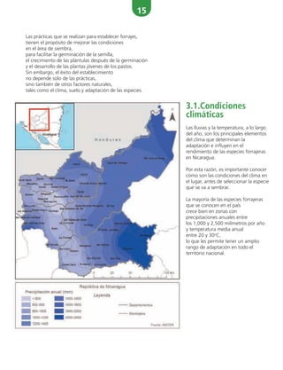 15
Las prácticas que se realizan para establecer forrajes,
tienen el propósito de mejorar las condiciones
en el área de siembra,
para facilitar la germinación de la semilla,
el crecimiento de las plántulas después de la germinación
y el desarrollo de las plantas jóvenes de los pastos.
Sin embargo, el éxito del establecimiento
no depende solo de las prácticas,
sino también de otros factores naturales,
tales como el clima, suelo y adaptación de las especies.
3.1.Condiciones
climáticas
Las lluvias y la temperatura, a lo largo
del año, son los principales elementos
del clima que determinan la
adaptación e influyen en el
rendimiento de las especies forrajeras
en Nicaragua.
Por esta razón, es importante conocer
cómo son las condiciones del clima en
el lugar, antes de seleccionar la especie
que se va a sembrar.
La mayoría de las especies forrajeras
que se conocen en el país
crece bien en zonas con
precipitaciones anuales entre
los 1,000 y 2,500 milímetros por año
y temperatura media anual
entre 20 y 30o
C,
lo que les permite tener un amplio
rango de adaptación en todo el
territorio nacional.
 