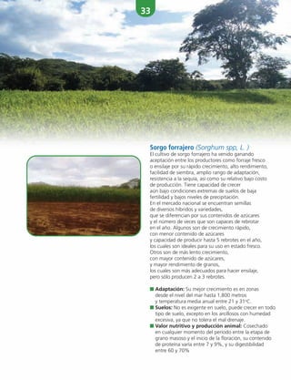 33
Sorgo forrajero (Sorghum spp, L. )
El cultivo de sorgo forrajero ha venido ganando
aceptación entre los productores como forraje fresco
o ensilaje por su rápido crecimiento, alto rendimiento,
facilidad de siembra, amplio rango de adaptación,
resistencia a la sequía, así como su relativo bajo costo
de producción. Tiene capacidad de crecer
aún bajo condiciones extremas de suelos de baja
fertilidad y bajos niveles de precipitación.
En el mercado nacional se encuentran semillas
de diversos híbridos y variedades,
que se diferencian por sus contenidos de azúcares
y el número de veces que son capaces de rebrotar
en el año. Algunos son de crecimiento rápido,
con menor contenido de azúcares
y capacidad de producir hasta 5 rebrotes en el año,
los cuales son ideales para su uso en estado fresco.
Otros son de más lento crecimiento,
con mayor contenido de azúcares,
y mayor rendimiento de granos,
los cuales son más adecuados para hacer ensilaje,
pero sólo producen 2 a 3 rebrotes.
■ Adaptación: Su mejor crecimiento es en zonas
desde el nivel del mar hasta 1,800 metros
y temperatura media anual entre 21 y 31o
C.
■ Suelos: No es exigente en suelo, puede crecer en todo
tipo de suelo, excepto en los arcillosos con humedad
excesiva, ya que no tolera el mal drenaje.
■ Valor nutritivo y producción animal: Cosechado
en cualquier momento del período entre la etapa de
grano masoso y el inicio de la floración, su contenido
de proteína varía entre 7 y 9%, y su digestibilidad
entre 60 y 70%
 