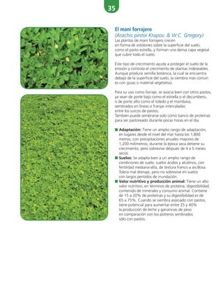 35
El maní forrajero
(Arachis pintoi Krapov. & W.C. Gregory)
Las plantas de maní forrajero crecen
en forma de estolones sobre la superficie del suelo,
como el pasto estrella, y forman una densa capa vegetal
que cubre todo el suelo.
Este tipo de crecimiento ayuda a proteger el suelo de la
erosión y controla el crecimiento de plantas indeseables.
Aunque produce semilla botánica, la cual se encuentra
debajo de la superficie del suelo, la siembra más común
es con guías o material vegetativo.
Para su uso como forraje, se asocia bien con otros pastos,
ya sean de porte bajo como el estrella o el decumbens,
o de porte alto como el toledo y el mombasa,
sembrados en líneas o franjas intercaladas
entre los surcos de pastos.
También puede sembrarse solo como banco de proteínas
para ser pastoreado durante pocas horas en el día.
■ Adaptación: Tiene un amplio rango de adaptación;
en lugares desde el nivel del mar hasta los 1,800
metros, con precipitaciones anuales mayores de
1,200 milímetros; durante la época seca detiene su
crecimiento, pero sobrevive después de 4 a 5 meses
secos.
■ Suelos: Se adapta bien a un amplio rango de
condiciones de suelo: suelos ácidos y alcalinos, con
fertilidad mediana-alta, de textura franco a arcillosa.
Tolera mal drenaje, pero no sobrevive en suelos
con largos períodos de inundación.
■ Valor nutritivo y producción animal: Tiene un alto
valor nutritivo, en términos de proteína, digestibilidad,
contenido de minerales y consumo animal. Contiene
de 15 a 20% de proteínas y su digestibilidad es de
65 a 75%. Cuando se siembra asociado con pastos,
tiene potencial para aumentar entre 25 y 40%
la producción de leche y ganancias de peso
en comparación con los potreros sembrados
sólo con pastos.
 