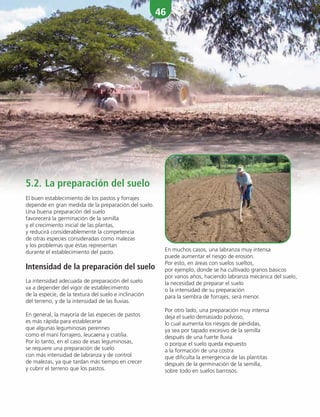 46
En muchos casos, una labranza muy intensa
puede aumentar el riesgo de erosión.
Por esto, en áreas con suelos sueltos,
por ejemplo, donde se ha cultivado granos básicos
por varios años, haciendo labranza mecánica del suelo,
la necesidad de preparar el suelo
o la intensidad de su preparación
para la siembra de forrajes, será menor.
Por otro lado, una preparación muy intensa
deja el suelo demasiado polvoso,
lo cual aumenta los riesgos de pérdidas,
ya sea por tapado excesivo de la semilla
después de una fuerte lluvia
o porque el suelo queda expuesto
a la formación de una costra
que dificulta la emergencia de las plantitas
después de la germinación de la semilla,
sobre todo en suelos barrosos.
5.2. La preparación del suelo
El buen establecimiento de los pastos y forrajes
depende en gran medida de la preparación del suelo.
Una buena preparación del suelo
favorecerá la germinación de la semilla
y el crecimiento inicial de las plantas,
y reducirá considerablemente la competencia
de otras especies consideradas como malezas
y los problemas que éstas representan
durante el establecimiento del pasto.
Intensidad de la preparación del suelo
La intensidad adecuada de preparación del suelo
va a depender del vigor de establecimiento
de la especie, de la textura del suelo e inclinación
del terreno, y de la intensidad de las lluvias.
En general, la mayoría de las especies de pastos
es más rápida para establecerse
que algunas leguminosas perennes
como el maní forrajero, leucaena y cratilia.
Por lo tanto, en el caso de esas leguminosas,
se requiere una preparación de suelo
con más intensidad de labranza y de control
de malezas, ya que tardan más tiempo en crecer
y cubrir el terreno que los pastos.
 