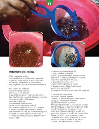 58
Tratamiento de semillas
En las especies de pastos
no es posible usar la semilla recién cosechada
porque, en forma natural, ocurre un fenómeno
a través del cual la semilla se mantiene viva
pero no germina, lo que se conoce como latencia.
Para superar ese obstáculo,
existen diferentes métodos
basados en el uso del calor,
lo que se conoce como “escarificar la semilla”.
Casi toda la semilla importada de pastos mejorados
que se comercializa en Nicaragua
es semilla escarificada,
de manera que no es necesario
hacerle ningún tratamiento especial.
Para la semilla de pastos producida localmente,
la latencia se supera almacenando la semilla
en condiciones naturales, en un lugar fresco y seco,
durante 6 a 7 meses, después de los cuáles
la semilla aumenta su porcentaje de germinación
hasta un 60%.
En algunas leguminosas tropicales,
la mayor parte de las especies
presenta grandes cantidades de semillas duras
después de la cosecha, debido a que su cáscara
no permite la penetración del agua,
lo que impide la germinación.
Una forma fácil y práctica de reducir
la dureza de las semillas de leguminosas
y mejorar su germinación
es mediante el tratamiento con agua fría o caliente.
El tratamiento con agua fría
se usa para todas las especies.
La semilla se mete a remojar en un recipiente
con agua a temperatura ambiental
por 24 horas antes de la siembra.
Al inicio del tratamiento, se revuelven las semillas
dentro del agua y se dejan reposar por una media
hora. Después de este tiempo, se recogen
todas las semillas que subieron a la superficie
y se retiran porque son semillas que no germinan.
Después de las 24 horas, se escurre el agua
con ayuda de un colador, y la semilla se pone a
secar sobre un papel periódico, a la sombra,
durante 1 a 2 horas antes de la siembra.
 