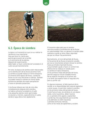 65
6.2. Época de siembra
La época o el momento en que se va a realizar la
siembra es muy importante.
Hay que tener en cuenta que,
para la germinación de la semilla
y el crecimiento de las plantas
después de la germinación,
debe haber un buen contenido de humedad en el
suelo casi permanentemente.
Por esto, las épocas de siembra están relacionadas
con la distribución de las lluvias durante el año.
La siembra se puede realizar en forma temprana
al comienzo de la época de lluvias, cuando las
lluvias no son muy frecuentes e intensas. También
se pueden realizar la siembra en forma tardía
durante los períodos de mayor precipitación
y hasta en períodos posteriores.
Si las lluvias faltaran por más de cinco días
inmediatamente después de la siembra,
no habría suficiente humedad en el suelo
y las pequeñas plantas recién germinadas
se secarían y morirían, especialmente en suelos
donde el agua drena más rápidamente.
El momento adecuado para la siembra
varía de acuerdo a la distribución de las lluvias
en cada localidad. Pero, en general, la siembra debe
realizarse cuando se tiene mayor seguridad
de que va a llover frecuentemente.
Normalmente, al inicio del período de lluvias,
la frecuencia de las lluvias es bastante variable,
por eso se recomienda siempre retrasar la siembra
hasta ya entrado el período lluvioso,
lo que también ayuda a hacer un control más
efectivo de las malezas en estado joven.
La siembra en época temprana,
en los primeros meses del período de lluvias,
permite asegurar el buen establecimiento
de las especies forrajeras en el primer año
y no tener que esperar hasta un segundo año
para su primer uso.
En algunas ocasiones, la falta oportuna de la
semilla, la no disponibilidad del material vegetativo
u otras causas, no permiten realizar la siembra
en los primeros meses del período de lluvias.
Si este fuera el caso, las siembras en una época
tardía, como la postrera, deben hacerse
en un período entre agosto y septiembre
cuando hay más seguridad de que la semilla
y las plántulas no estén expuestas
a períodos de lluvias intensas,
como en los meses de septiembre y octubre.
 
