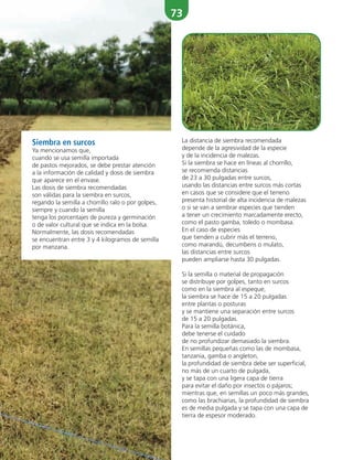 73
La distancia de siembra recomendada
depende de la agresividad de la especie
y de la incidencia de malezas.
Si la siembra se hace en líneas al chorrillo,
se recomienda distancias
de 23 a 30 pulgadas entre surcos,
usando las distancias entre surcos más cortas
en casos que se considere que el terreno
presenta historial de alta incidencia de malezas
o si se van a sembrar especies que tienden
a tener un crecimiento marcadamente erecto,
como el pasto gamba, toledo o mombasa.
En el caso de especies
que tienden a cubrir más el terreno,
como marandú, decumbens o mulato,
las distancias entre surcos
pueden ampliarse hasta 30 pulgadas.
Si la semilla o material de propagación
se distribuye por golpes, tanto en surcos
como en la siembra al espeque,
la siembra se hace de 15 a 20 pulgadas
entre plantas o posturas
y se mantiene una separación entre surcos
de 15 a 20 pulgadas.
Para la semilla botánica,
debe tenerse el cuidado
de no profundizar demasiado la siembra.
En semillas pequeñas como las de mombasa,
tanzania, gamba o angleton,
la profundidad de siembra debe ser superficial,
no más de un cuarto de pulgada,
y se tapa con una ligera capa de tierra
para evitar el daño por insectos o pájaros;
mientras que, en semillas un poco más grandes,
como las brachiarias, la profundidad de siembra
es de media pulgada y se tapa con una capa de
tierra de espesor moderado.
Siembra en surcos
Ya mencionamos que,
cuando se usa semilla importada
de pastos mejorados, se debe prestar atención
a la información de calidad y dosis de siembra
que aparece en el envase.
Las dosis de siembra recomendadas
son válidas para la siembra en surcos,
regando la semilla a chorrillo ralo o por golpes,
siempre y cuando la semilla
tenga los porcentajes de pureza y germinación
o de valor cultural que se indica en la bolsa.
Normalmente, las dosis recomendadas
se encuentran entre 3 y 4 kilogramos de semilla
por manzana.
 