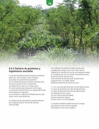 74
6.4.2.Pasturas de gramíneas y
leguminosas asociadas
La siembra de leguminosas forrajeras herbáceas
perennes, como kudzú y mani forrajero,
asociadas con gramíneas de pastoreo
es una alternativa para aumentar la producción
de carne y leche en forma sostenida
a lo largo de los años y a un bajo costo.
En estos sistemas de producción de forrajes,
se aumenta el rendimiento y la calidad del forraje
consumido por el ganado
y se mantiene o mejora la fertilidad química del
suelo, entre otros beneficios.
La siembra de las asociaciones puede realizarse
por cualquiera de las formas de siembra
mencionadas.
Sin embargo, la siembra al voleo resulta más
compleja de manejar y por esta razón sólo se
hablará de la siembra en surcos y al espeque porque
se considera que son las formas más prácticas para
la siembra de las asociaciones.
Para siembras de asociaciones de gramíneas
y leguminosas, se puede utilizar
diferentes patrones de siembra como:
1:1 (un surco de gramínea por uno de leguminosa),
1:2 (uno de gramínea por dos de leguminosa),
2:2 (dos de gramínea por dos de leguminosa).
Las distancias entre surcos
son las mismas recomendadas
para la siembra de pastos,
es decir entre 15 y 20 pulgadas.
La siembra también puede hacerse en franjas
que abarcan varios surcos seguidos
sembrados con la misma especie.
 