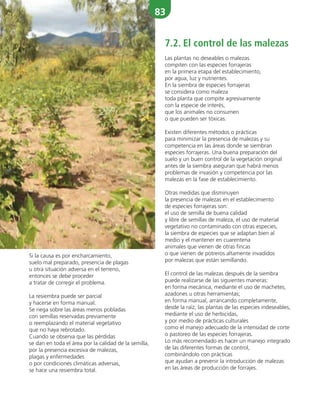 83
Si la causa es por encharcamiento,
suelo mal preparado, presencia de plagas
u otra situación adversa en el terreno,
entonces se debe proceder
a tratar de corregir el problema.
La resiembra puede ser parcial
y hacerse en forma manual.
Se riega sobre las áreas menos pobladas
con semillas reservadas previamente
o reemplazando el material vegetativo
que no haya rebrotado.
Cuando se observa que las pérdidas
se dan en toda el área por la calidad de la semilla,
por la presencia excesiva de malezas,
plagas y enfermedades
o por condiciones climáticas adversas,
se hace una resiembra total.
7.2. El control de las malezas
Las plantas no deseables o malezas
compiten con las especies forrajeras
en la primera etapa del establecimiento,
por agua, luz y nutrientes.
En la siembra de especies forrajeras
se considera como maleza
toda planta que compite agresivamente
con la especie de interés,
que los animales no consumen
o que pueden ser tóxicas.
Existen diferentes métodos o prácticas
para minimizar la presencia de malezas y su
competencia en las áreas donde se siembran
especies forrajeras. Una buena preparación del
suelo y un buen control de la vegetación original
antes de la siembra aseguran que habrá menos
problemas de invasión y competencia por las
malezas en la fase de establecimiento.
Otras medidas que disminuyen
la presencia de malezas en el establecimiento
de especies forrajeras son:
el uso de semilla de buena calidad
y libre de semillas de maleza, el uso de material
vegetativo no contaminado con otras especies,
la siembra de especies que se adaptan bien al
medio y el mantener en cuarentena
animales que vienen de otras fincas
o que vienen de potreros altamente invadidos
por malezas que están semillando.
El control de las malezas después de la siembra
puede realizarse de las siguientes maneras:
en forma mecánica, mediante el uso de machetes,
azadones u otras herramientas;
en forma manual, arrancando completamente,
desde la raíz, las plantas de las especies indeseables,
mediante el uso de herbicidas,
y por medio de prácticas culturales
como el manejo adecuado de la intensidad de corte
o pastoreo de las especies forrajeras.
Lo más recomendado es hacer un manejo integrado
de las diferentes formas de control,
combinándolo con prácticas
que ayudan a prevenir la introducción de malezas
en las áreas de producción de forrajes.
 