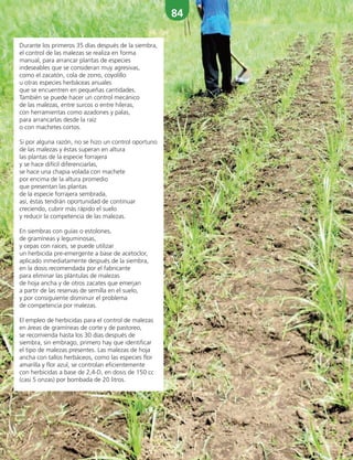 84
Durante los primeros 35 días después de la siembra,
el control de las malezas se realiza en forma
manual, para arrancar plantas de especies
indeseables que se consideran muy agresivas,
como el zacatón, cola de zorro, coyolillo
u otras especies herbáceas anuales
que se encuentren en pequeñas cantidades.
También se puede hacer un control mecánico
de las malezas, entre surcos o entre hileras,
con herramientas como azadones y palas,
para arrancarlas desde la raíz
o con machetes cortos.
Si por alguna razón, no se hizo un control oportuno
de las malezas y éstas superan en altura
las plantas de la especie forrajera
y se hace difícil diferenciarlas,
se hace una chapia volada con machete
por encima de la altura promedio
que presentan las plantas
de la especie forrajera sembrada,
así, éstas tendrán oportunidad de continuar
creciendo, cubrir más rápido el suelo
y reducir la competencia de las malezas.
En siembras con guías o estolones,
de gramíneas y leguminosas,
y cepas con raíces, se puede utilizar
un herbicida pre-emergente a base de acetoclor,
aplicado inmediatamente después de la siembra,
en la dosis recomendada por el fabricante
para eliminar las plántulas de malezas
de hoja ancha y de otros zacates que emerjan
a partir de las reservas de semilla en el suelo,
y por consiguiente disminuir el problema
de competencia por malezas.
El empleo de herbicidas para el control de malezas
en áreas de gramíneas de corte y de pastoreo,
se recomienda hasta los 30 días después de
siembra, sin embrago, primero hay que identificar
el tipo de malezas presentes. Las malezas de hoja
ancha con tallos herbáceos, como las especies flor
amarilla y flor azul, se controlan eficientemente
con herbicidas a base de 2,4-D, en dosis de 150 cc
(casi 5 onzas) por bombada de 20 litros.
 