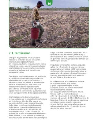 86
Luego, si se tiene los recursos, se aplicará 1 a 1.5
quintales de urea por manzana, entre las 4 y 5
semanas después de la siembra, cuando las plantas
de gramíneas tienen mayor capacidad de hacer uso
del nitrógeno aplicado.
Después del primer corte o pastoreo, se puede
aplicar 1 a 1.5 quintales de urea por manzana
para completar un total de 50-70 kilogramos de
nitrógeno en el primer año. Como alternativa, se
puede reducir la cantidad a 1 quintal de urea por
manzana y complementarlo con la aplicación
de unos 50 sacos de estiércol seco.
En las leguminosas, el nutriente más limitante
en el establecimiento, es el fósforo,
y quizás un poco,el nitrógeno al inicio
cuando las plantas aún no han desarrollado
la asociación con las bacterias
que les ayudan a tomar el nitrógeno del aire.
Por esta razón, se recomienda aplicar
entre 1 a 1.5 quintales de fórmula 18-46-0 por
manzana o 2 quintales de 12-24-12 al momento de
la siembra. En áreas de siembra de una leguminosa
asociada con pastos, se aplica esta misma
recomendación y, para ayudar a la gramínea, se
aplica adicionalmente 1 a 1.5 quintales de urea,
después del primer pastoreo.
7.3. Fertilización
En la gran mayoría de las fincas ganaderas
no existe la costumbre de usar fertilizantes
en el cultivo de especies forrajeras.
Sin embargo, igual como en cualquier otro cultivo,
esta práctica ayuda a obtener mejores resultados
en el establecimiento, aumenta los rendimientos
y devuelve al suelo parte de los nutrientes
que extrae el cultivo.
Para obtener una buena respuesta a la fertilización
es necesario tomar en cuenta algunos factores
relacionados con el suelo, como su textura y
fertilidad. Cuando sea posible, es recomendable
hacer un análisis del suelo antes de iniciar el
establecimiento de una especie forrajera,
para saber sus condiciones físicas y químicas
y poder hacer las correcciones y ajustes necesarios,
según los requerimientos de las especies a sembrar.
En el establecimiento de gramíneas solas,
es muy probable que el principal nutriente limitante
sea el nitrógeno. Además, debe hacerse un
suministro de fósforo para ayudar al desarrollo
de las raíces, lo cual promoverá el desarrollo
de las plantas. Una recomendación general
es aplicar una dosis de 1.5 a 2 quintales por
manzana de fórmula 12-24-12 o entre 1 a 1.5
quintales de 18-46-0 al momento de la siembra o
en los primeros 15 días, teniendo el cuidado de
aplicarlas un poco retirado de las plantas emergidas.
 