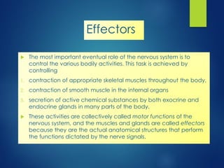 7721 [02] Review of Neuro-Embryology.pdf