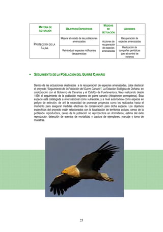 MEDIDAS
    MATERIA DE
                             OBJETIVOS ESPECÍFICOS                 DE             ACCIONES
    ACTUACIÓN
                                                               ACTUACIÓN
                        Mejorar el estado de las poblaciones                    Recuperación de
                                    amenazadas                  Acciones de   especies amenazadas
PROTECCIÓN DE LA                                               recuperación
    FAUNA                                                       de especies      Realización de
                         Reintroducir especies nidificantes    amenazadas     campañas periódicas
                                  desaparecidas                                 para el control de
                                                                                    venenos




SEGUIMIENTO DE LA POBLACIÓN DEL GUIRRE CANARIO

Dentro de las actuaciones destinadas a la recuperación de especies amenazadas, cabe destacar
el proyecto “Seguimiento de la Población del Guirre Canario”. La Estación Biológica de Doñana, en
colaboración con el Gobierno de Canarias y el Cabildo de Fuerteventura, lleva realizando desde
1998 el seguimiento de la población majorera de guirre canario (Neophoron pernopterus). Esta
especie está catalogada a nivel nacional como vulnerable, y a nivel autonómico como especie en
peligro de extinción. de ahí la necesidad de promover proyectos como los realizados hasta el
momento para asegurar medidas efectivas de conservación para dicha especie. Los objetivos
específicos del proyecto están relacionados con la localización de territorios activos, censo de la
población reproductora, censo de la población no reproductora en dormideros, estima del éxito
reproductor, detección de eventos de mortalidad y captura de ejemplares, marcaje y toma de
muestras.




                                          23
 