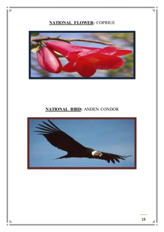 18 
NATIONAL FLOWER: COPIHUE 
NATIONAL BIRD: ANDEN CONDOR 
 