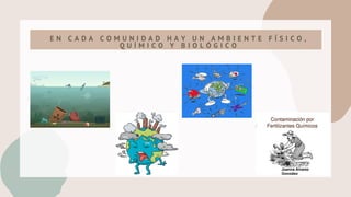 E N C A D A C O M U N I D A D H A Y U N A M B I E N T E F Í S I C O ,
Q U Í M I C O Y B I O L Ó G I C O
 