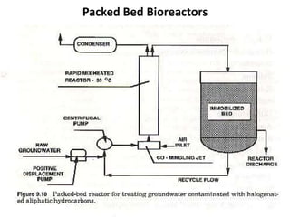Packed Bed Bioreactors
 