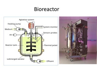 Bioreactor
 