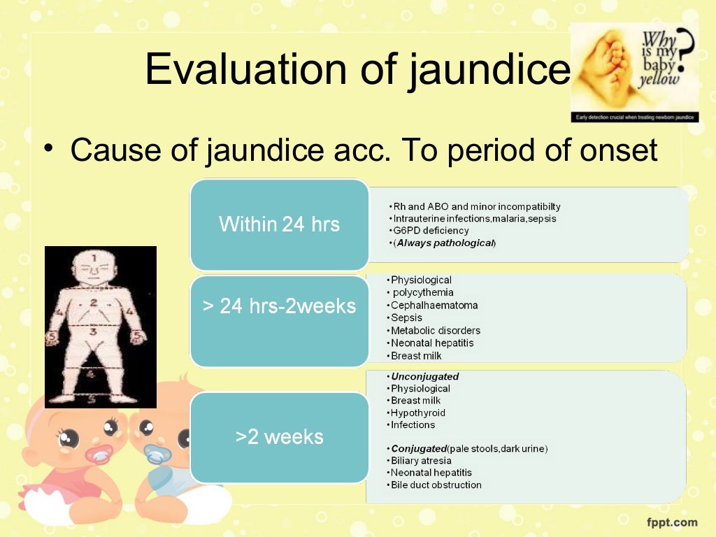 neonatal jaundice
