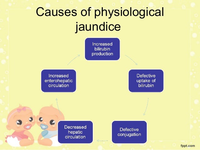 neonatal-jaundice-causes-vrogue-co