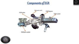 Components of EGR
 