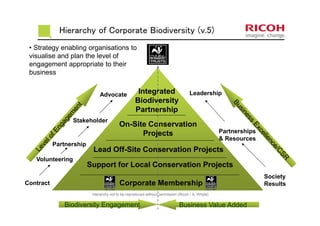 Lead Off-Site Conservation Projects
Corporate Membership
Support for Local Conservation Projects
On-Site Conservation
Projects
Integrated
Biodiversity
Partnership
Hierarchy of Corporate Biodiversity (v.5)
• Strategy enabling organisations to
visualise and plan the level of
engagement appropriate to their
business
Hierarchy not to be reproduced without permission (Ricoh / A. Whyle)
Contract
Volunteering
Partnership
Stakeholder
Advocate
Business Value AddedBiodiversity Engagement
Society
Results
Partnerships
& Resources
Leadership
 