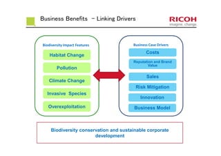 Business Benefits - Linking Drivers
Biodiversity Impact Features Business Case Drivers
Habitat Change
Pollution
Climate Change
Invasive Species
Overexploitation
Costs
Reputation and Brand
Value
Sales
Risk Mitigation
Innovation
Business Model
Biodiversity conservation and sustainable corporate
development
 