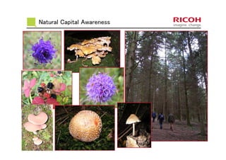 Natural Capital Awareness
 