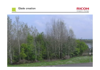 Glade creation
 