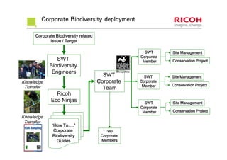 Corporate Biodiversity deployment
SWT
Biodiversity
Engineers
Ricoh
Eco Ninjas
Corporate Biodiversity relatedCorporate Biodiversity relatedCorporate Biodiversity relatedCorporate Biodiversity related
Issue / TargetIssue / TargetIssue / TargetIssue / Target
“How To….How To….How To….How To….””””
CorporateCorporateCorporateCorporate
BiodiversityBiodiversityBiodiversityBiodiversity
GuidesGuidesGuidesGuides
Knowledge
Transfer
SWT
Corporate
Team
TWTTWTTWTTWT
CorporateCorporateCorporateCorporate
MembersMembersMembersMembers
SWTSWTSWTSWT
CorporateCorporateCorporateCorporate
MemberMemberMemberMember
SWTSWTSWTSWT
CorporateCorporateCorporateCorporate
MemberMemberMemberMember
SWTSWTSWTSWT
CorporateCorporateCorporateCorporate
MemberMemberMemberMember
Site ManagementSite ManagementSite ManagementSite Management
Conservation ProjectConservation ProjectConservation ProjectConservation Project
Site ManagementSite ManagementSite ManagementSite Management
Conservation ProjectConservation ProjectConservation ProjectConservation Project
Site ManagementSite ManagementSite ManagementSite Management
Conservation ProjectConservation ProjectConservation ProjectConservation Project
Knowledge
Transfer
 