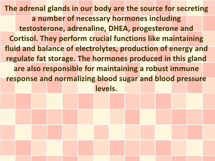 adrenal gland and hormone imbalance treatment
