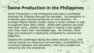 Swine Production in the Philippines
Swine Production in the Philippines has been a profitable
business for Filipinos through the decades. Its popularity is
evidently seen among backyards of rural families. An
average Filipino family usually raises a small number of pigs
to augment their daily needs. While both parents are busy
with their work, children may help in raising a few piglets
until they reach their marketable age. No wonder, more
hogs are produced in backyards compared to commercial
piggeries.
Despite the challenges facing the swine industry (e.g. diet
relying heavily on expensive concentrates; susceptibility to
numerous diseases and parasites), still many people are
venturing into this enterprise.
 