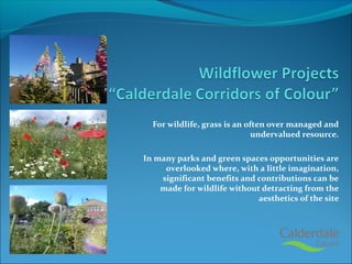 For wildlife, grass is an often over managed and
undervalued resource.
In many parks and green spaces opportunities are
overlooked where, with a little imagination,
significant benefits and contributions can be
made for wildlife without detracting from the
aesthetics of the site
 