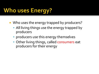  Who uses the energy trapped by producers?
 All living things use the energy trapped by
producers
 producers use this energy themselves
 Other living things, called consumers eat
producers for their energy
 