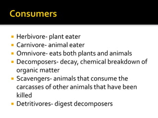  Herbivore- plant eater
 Carnivore- animal eater
 Omnivore- eats both plants and animals
 Decomposers- decay, chemical breakdown of
organic matter
 Scavengers- animals that consume the
carcasses of other animals that have been
killed
 Detritivores- digest decomposers
 