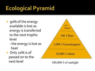  90% of the energy
available is lost as
energy is transferred
to the next trophic
level
- the energy is lost as
heat
 Only 10% is of
passed on to the
next level 100,000 J of sunlight
100 J Rats
10 J
Snakes
1,000 J Grasshoppers
10,000 J wheat
 