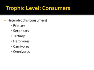  Heterotrophs (consumers)
▪ Primary
▪ Secondary
▪ Tertiary
▪ Herbivores
▪ Carnivores
▪ Omnivores
 