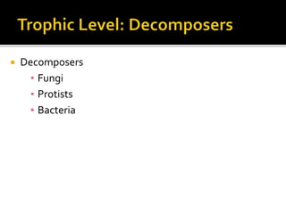  Decomposers
▪ Fungi
▪ Protists
▪ Bacteria
 