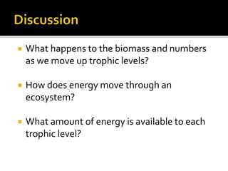  What happens to the biomass and numbers
as we move up trophic levels?
 How does energy move through an
ecosystem?
 What amount of energy is available to each
trophic level?
 