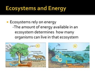 Ecosystems rely on energy
-The amount of energy available in an
ecosystem determines how many
organisms can live in that ecosystem
 