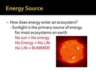  How does energy enter an ecosystem?
- Sunlight is the primary source of energy
for most ecosystems on earth
No sun = No energy
No Energy = No Life
No Life = BUMMER!
 