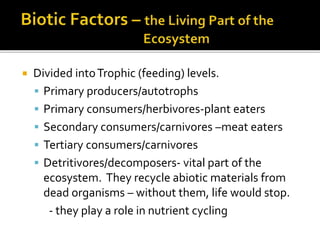  Divided intoTrophic (feeding) levels.
 Primary producers/autotrophs
 Primary consumers/herbivores-plant eaters
 Secondary consumers/carnivores –meat eaters
 Tertiary consumers/carnivores
 Detritivores/decomposers- vital part of the
ecosystem. They recycle abiotic materials from
dead organisms – without them, life would stop.
- they play a role in nutrient cycling
 