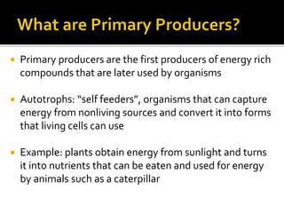  Primary producers are the first producers of energy rich
compounds that are later used by organisms
 Autotrophs: “self feeders”, organisms that can capture
energy from nonliving sources and convert it into forms
that living cells can use
 Example: plants obtain energy from sunlight and turns
it into nutrients that can be eaten and used for energy
by animals such as a caterpillar
 
