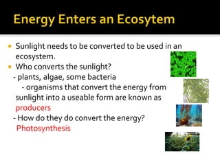  Sunlight needs to be converted to be used in an
ecosystem.
 Who converts the sunlight?
- plants, algae, some bacteria
- organisms that convert the energy from
sunlight into a useable form are known as
producers
- How do they do convert the energy?
Photosynthesis
 