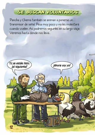 Se buscan voluntarios
Pancha y Chema también se animan a ponerse un
transmisor de señal. Pesa muy poco y no les molestará
cuando vuelen. Así podremos seguirles en su largo viaje.
Veremos hasta dónde nos lleva…




Tú ya estás listo,
  ¡el siguiente!                  ¡Ahora voy yo!




12
 