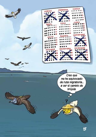 Creo que
 me he equivocado
de ruta migratoria…
 a ver si cambio de
       brújula.




                  15
 