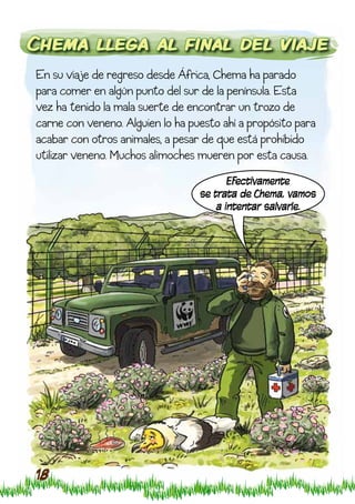Chema llega al final del viaje
En su viaje de regreso desde África, Chema ha parado
para comer en algún punto del sur de la península. Esta
vez ha tenido la mala suerte de encontrar un trozo de
carne con veneno. Alguien lo ha puesto ahí a propósito para
acabar con otros animales, a pesar de que está prohibido
utilizar veneno. Muchos alimoches mueren por esta causa.
                                         Efectivamente
                                  se trata de Chema, vamos
                                      a intentar salvarle.




18
 