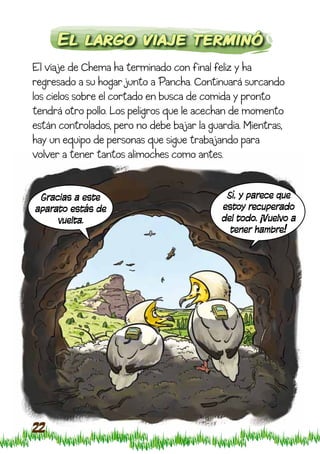 El largo viaje terminó
El viaje de Chema ha terminado con final feliz y ha
regresado a su hogar junto a Pancha. Continuará surcando
los cielos sobre el cortado en busca de comida y pronto
tendrá otro pollo. Los peligros que le acechan de momento
están controlados, pero no debe bajar la guardia. Mientras,
hay un equipo de personas que sigue trabajando para
volver a tener tantos alimoches como antes.


 Gracias a este                              Sí, y parece que
aparato estás de                            estoy recuperado
     vuelta.                                del todo. ¡Vuelvo a
                                              tener hambre!




22
 
