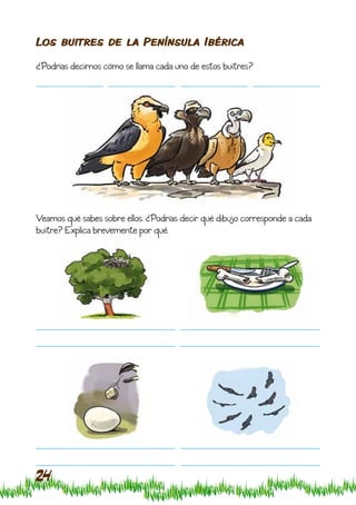 Los buitres de la Península Ibérica

¿Podrías decirnos cómo se llama cada uno de estos buitres?




Veamos qué sabes sobre ellos. ¿Podrías decir qué dibujo corresponde a cada
buitre? Explíca brevemente por qué.




24
 