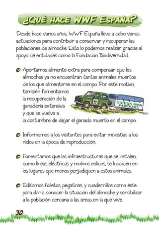 ¿Qué hace WWF España?
Desde hace varios años, WWF España lleva a cabo varias
actuaciones para contribuir a conservar y recuperar las
poblaciones de alimoche. Esto lo podemos realizar gracias al
apoyo de entidades como la Fundación Biodiversidad.

   Aportamos alimento extra para compensar que los
   alimoches ya no encuentran tantos animales muertos
   de los que alimentarse en el campo. Por este motivo,
   también fomentamos
   la recuperación de la
   ganadería extensiva
   y que se vuelva a
   la costumbre de dejar el ganado muerto en el campo.

   Informamos a los visitantes para evitar molestias a los
   nidos en la época de reproducción.

   Fomentamos que las infraestructuras que se instalen,
   como líneas eléctricas y molinos eólicos, se localicen en
   los lugares que menos perjudiquen a estos animales.

   Editamos folletos, pegatinas, y cuadernillos como éste
   para dar a conocer la situación del alimoche y sensibilizar
   a la población cercana a las áreas en la que vive.

30
 