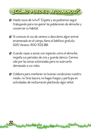 ¿Cómo puedes ayudarnos?
     Hazte socio de WWF España y así podremos seguir
     trabajando para recuperar las poblaciones de alimoche y
     conservar su hábitat.

     Si conoces el uso de veneno o descubres algún animal
     envenenado en el campo, llama al teléfono gratuito
     SOS Veneno: 900 703 182

     Cuando vayas a zonas con especies como el alimoche,
     respeta sus periodos de cría y guarda silencio. Camina
     sólo por las zonas autorizadas para no acercarte
     demasiado a sus nidos.

     Colabora para mantener en buenas condiciones nuestro
     medio: no tires basura, no hagas fuegos y participa en
     actividades de restauración plantando algún árbol.




32
 